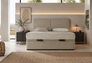 Canapé Premium